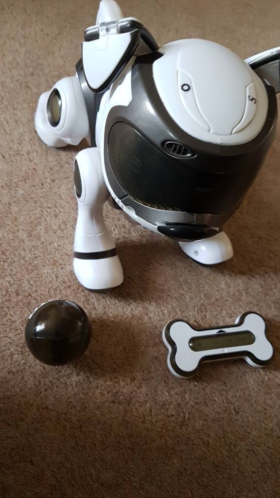 teksta 5g dog